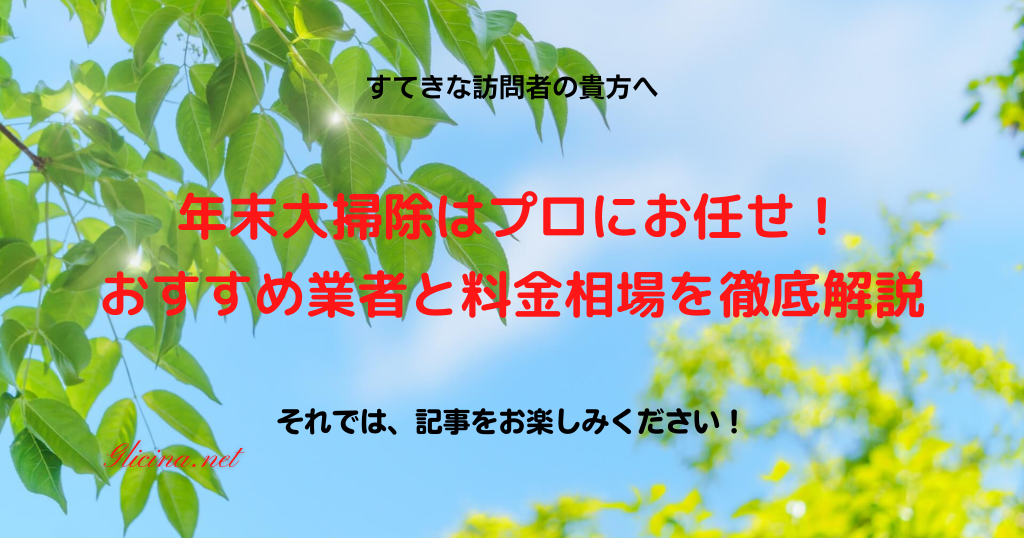 20231209_年末大掃除はプロにお任せ！おすすめ業者と料金相場を徹底解説